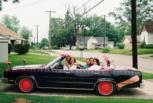 flamingo car