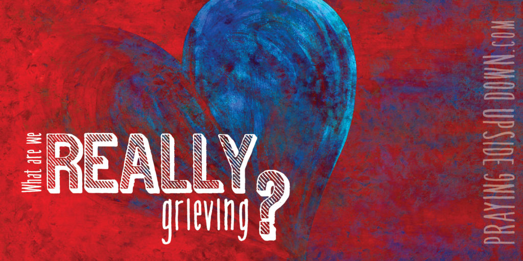 What are we really grieving graphic